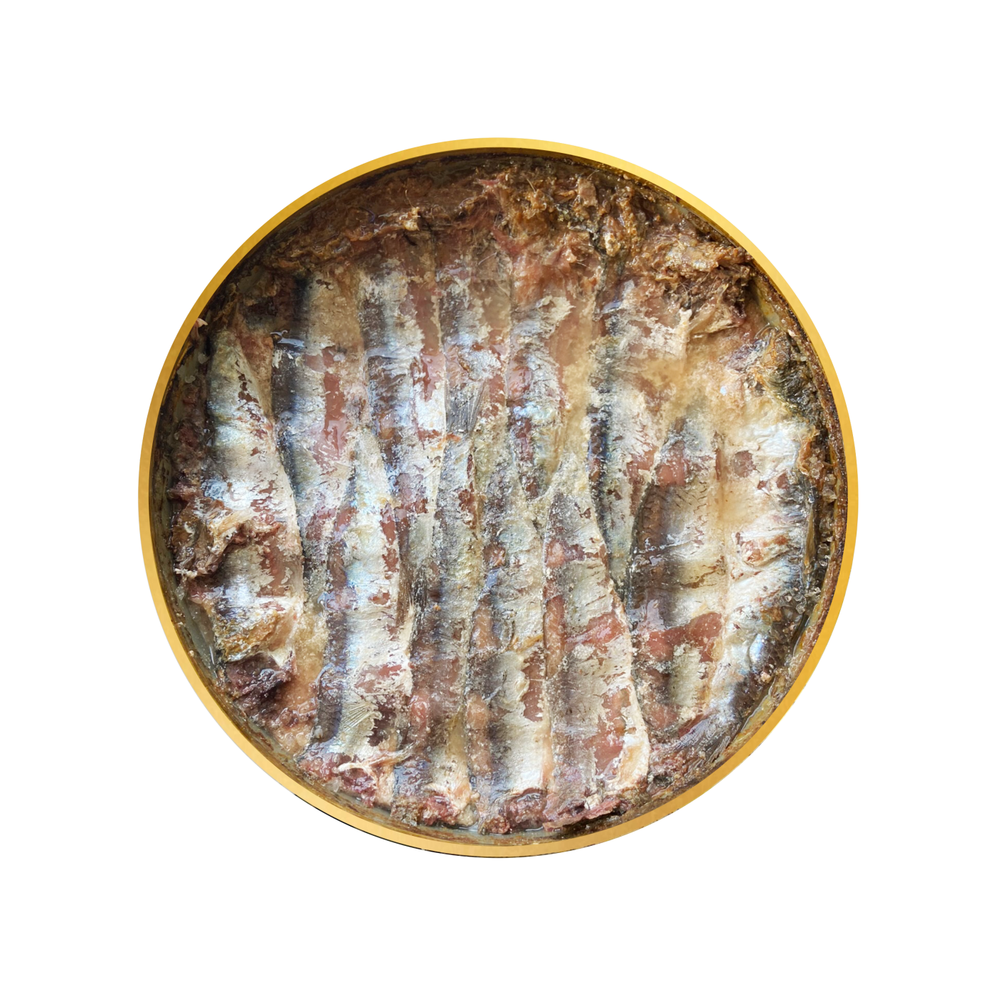 ACCIUGHE Spagna e Italia