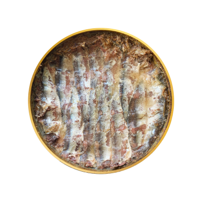 ACCIUGHE Spagna e Italia